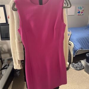 Zara Fuchsia Mini Dress